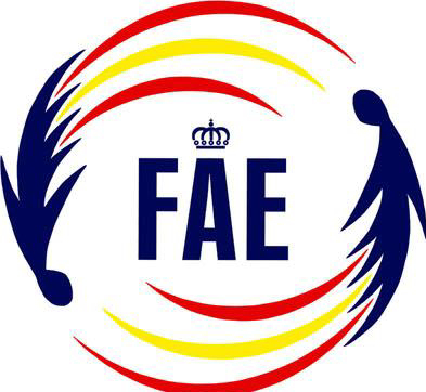 Elecciones Real Federaci&oacute;n Aeron&aacute;utica Espa&ntilde;ola